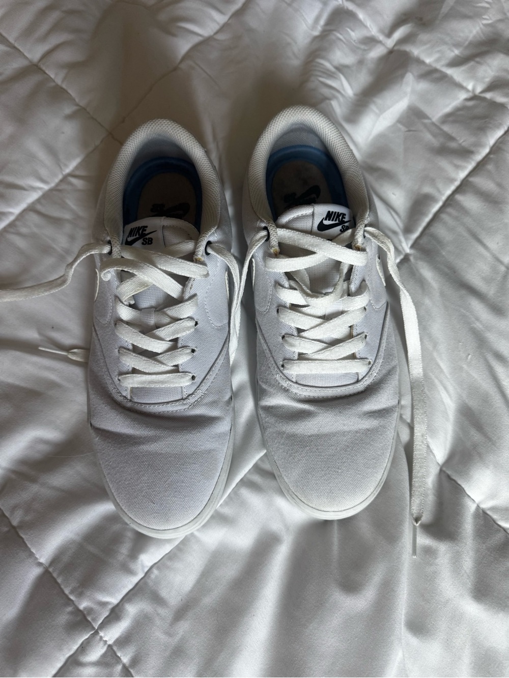 Nike Women’s White Low-Top Skate Sneakers